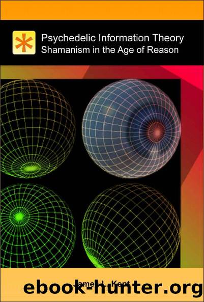 Psychedelic Information Theory: Shamanism in the Age of Reason by James Kent