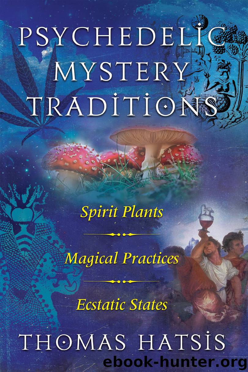 Psychedelic Mystery Traditions by Thomas Hatsis