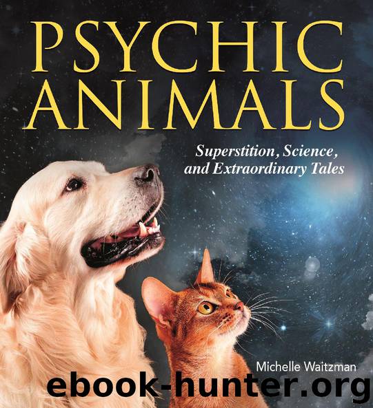 Psychic Animals by Michelle Waitzman