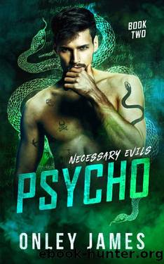Psycho (Necessary Evils Book 2) by Onley James