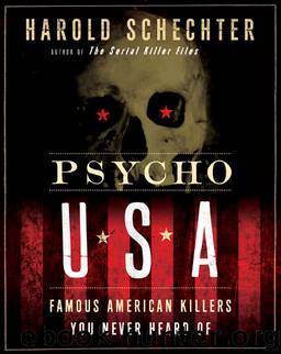 Psycho USA: Famous American Killers You Never Heard Of by Harold Schechter