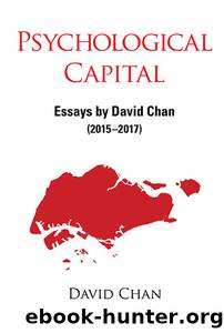 Psychological Capital by David Chan