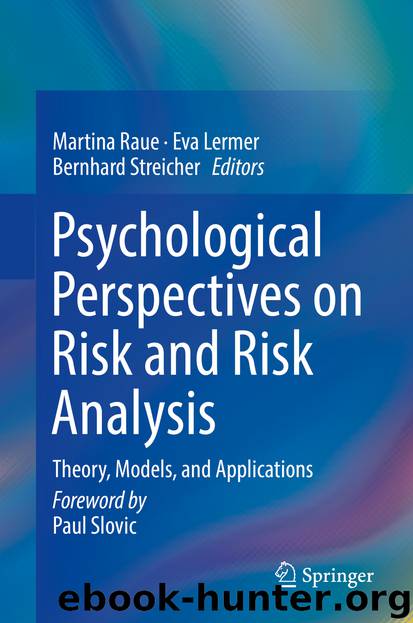 Psychological Perspectives on Risk and Risk Analysis by Martina Raue & Eva Lermer & Bernhard Streicher