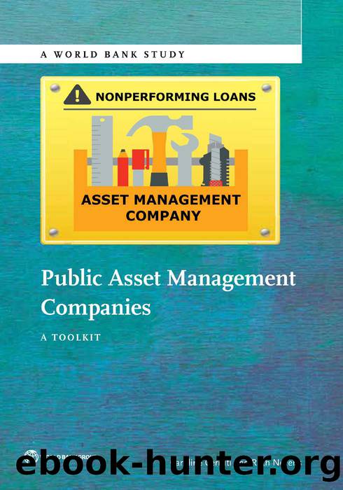 Public Asset Management Companies: A Toolkit by Caroline Cerruti; Ruth Neyens