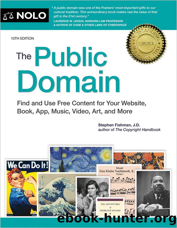 Public Domain, The by Stephen Fishman;