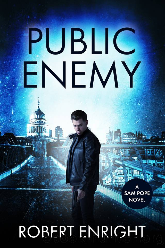 Public Enemy (Sam Pope Series Book 14) by Robert Enright