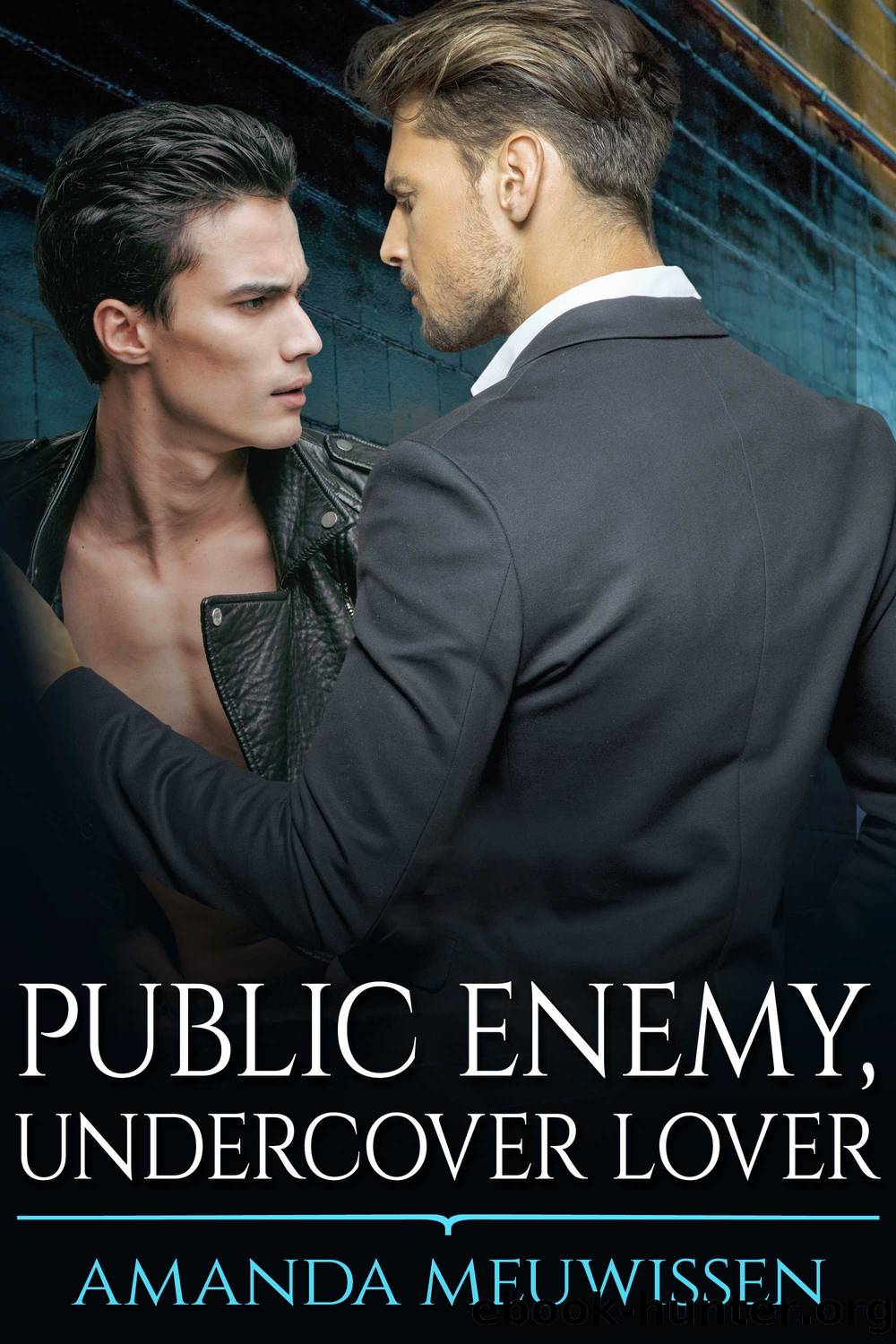 Public Enemy, Undercover Lover by Amanda Meuwissen