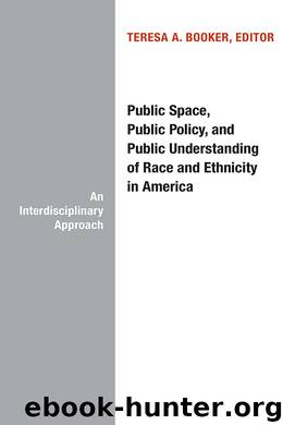 Public Space, Public Policy, and Public Understanding of Race and Ethnicity in America by Theresa A. Booker