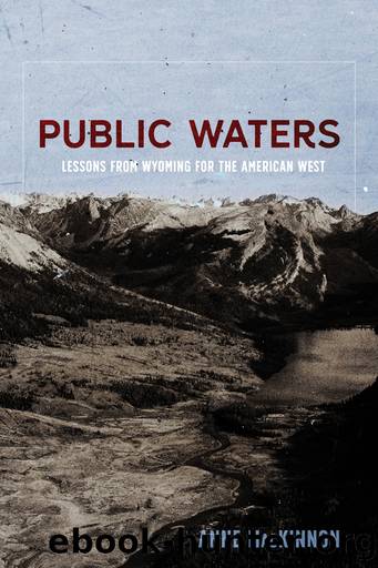 Public Waters by Anne MacKinnon