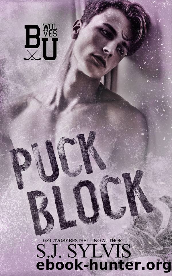 Puck Block : A Brother's Best Friend Hockey Romance (Bexley U) by SJ Sylvis
