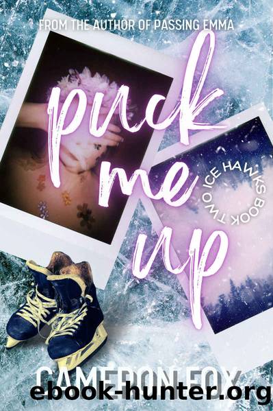 Puck Me Up: A Reverse Harem Romance (The Ice Hawks Hockey Series Book 2) by Cameron Fox
