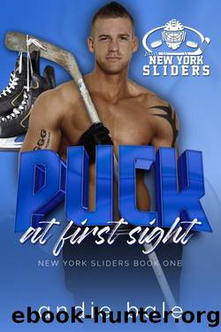 Puck at First Sight (New York Sliders Book 1) by Andie Bale