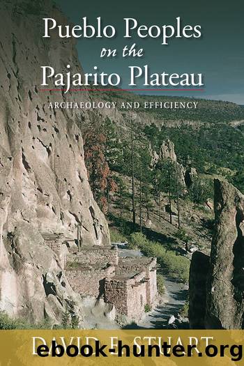Pueblo Peoples on the Pajarito Plateau by David E. Stuart