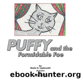 Puffy and the Formidable Foe by Ann Marie Hannon