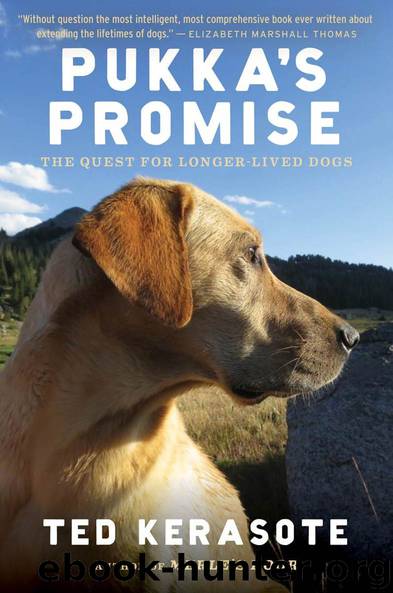 Pukka's Promise: The Quest for Longer-Lived Dogs by Ted Kerasote