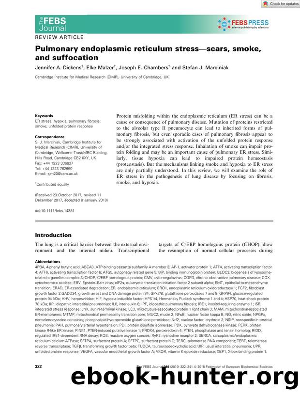 Pulmonary endoplasmic reticulum stressâscars, smoke, and suffocation by Unknown