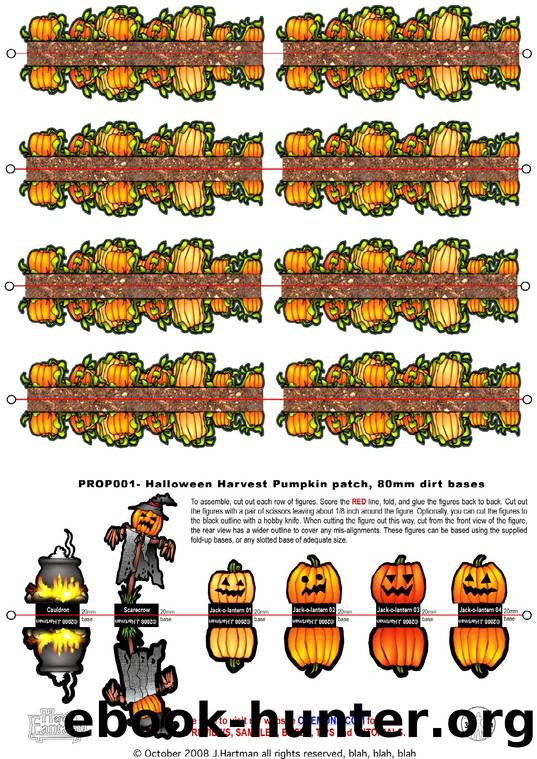Pumpkin-patch by JIM