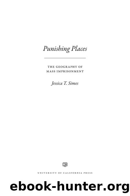 Punishing Places by Jessica T. Simes;