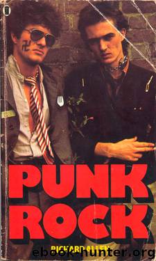 Punk Rock by Richard Allen