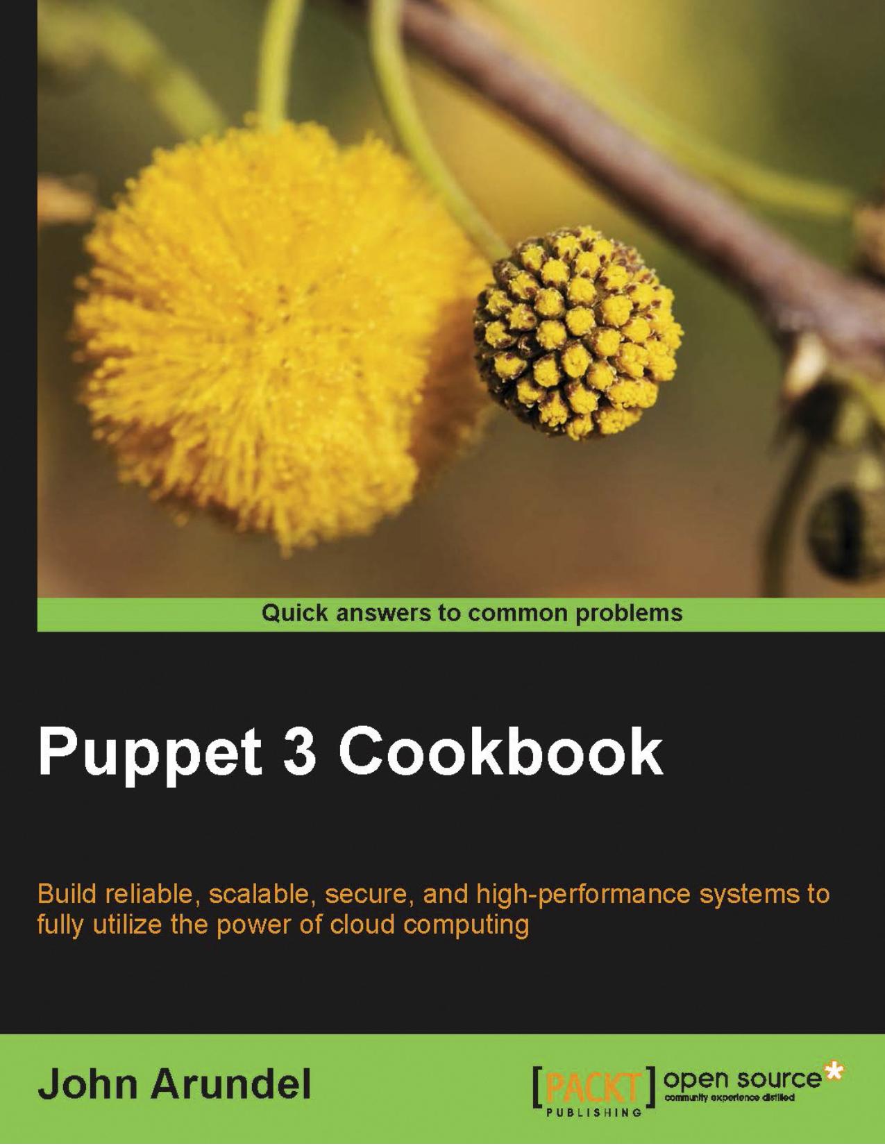 Puppet 3 Cookbook by John Arundel