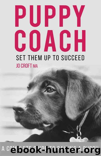 Puppy Coach by Jo Croft MA