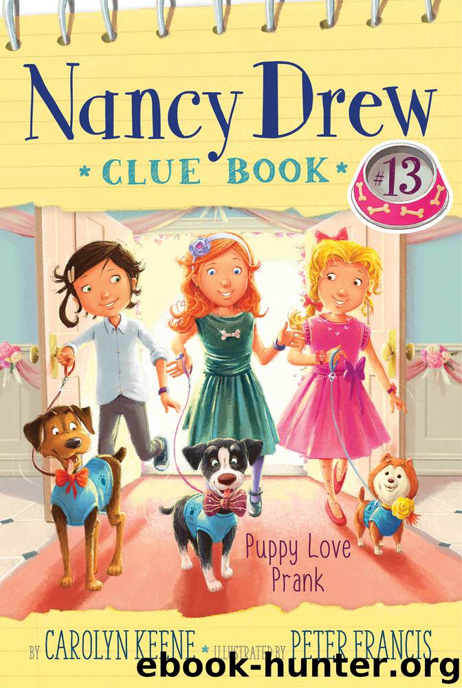 Puppy Love Prank by Carolyn Keene