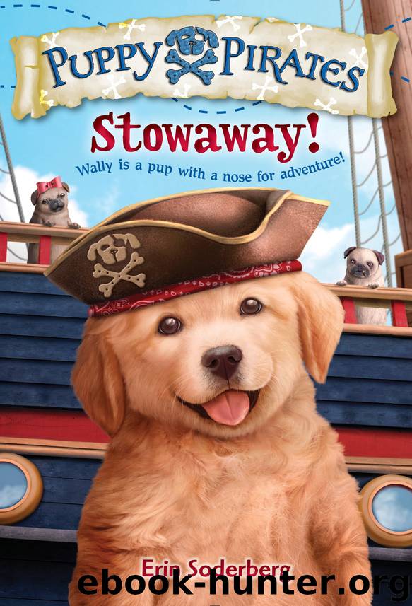 Puppy Pirates #1 by Erin Soderberg