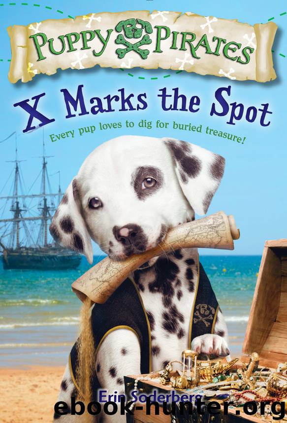 Puppy Pirates #2 by Erin Soderberg
