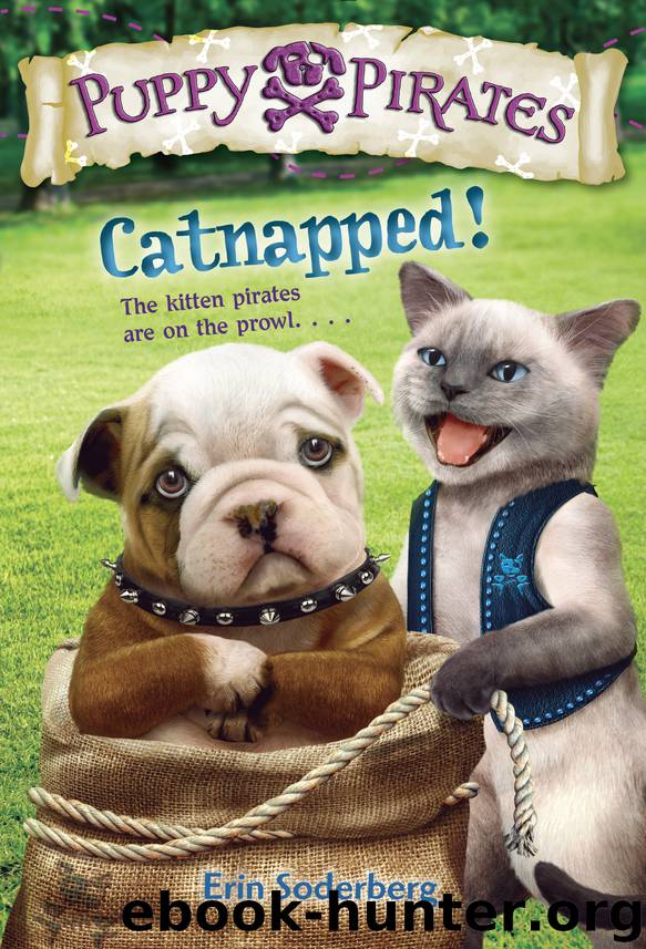 Puppy Pirates #3 by Erin Soderberg