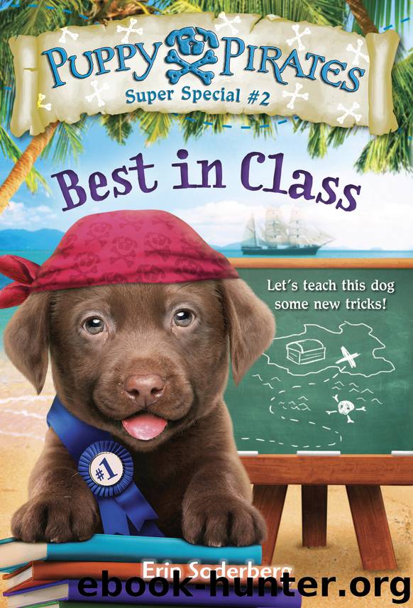 Puppy Pirates Super Special #2 by Erin Soderberg