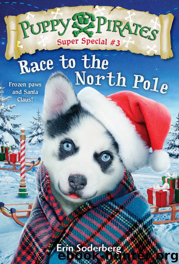 Puppy Pirates Super Special #3 by Erin Soderberg