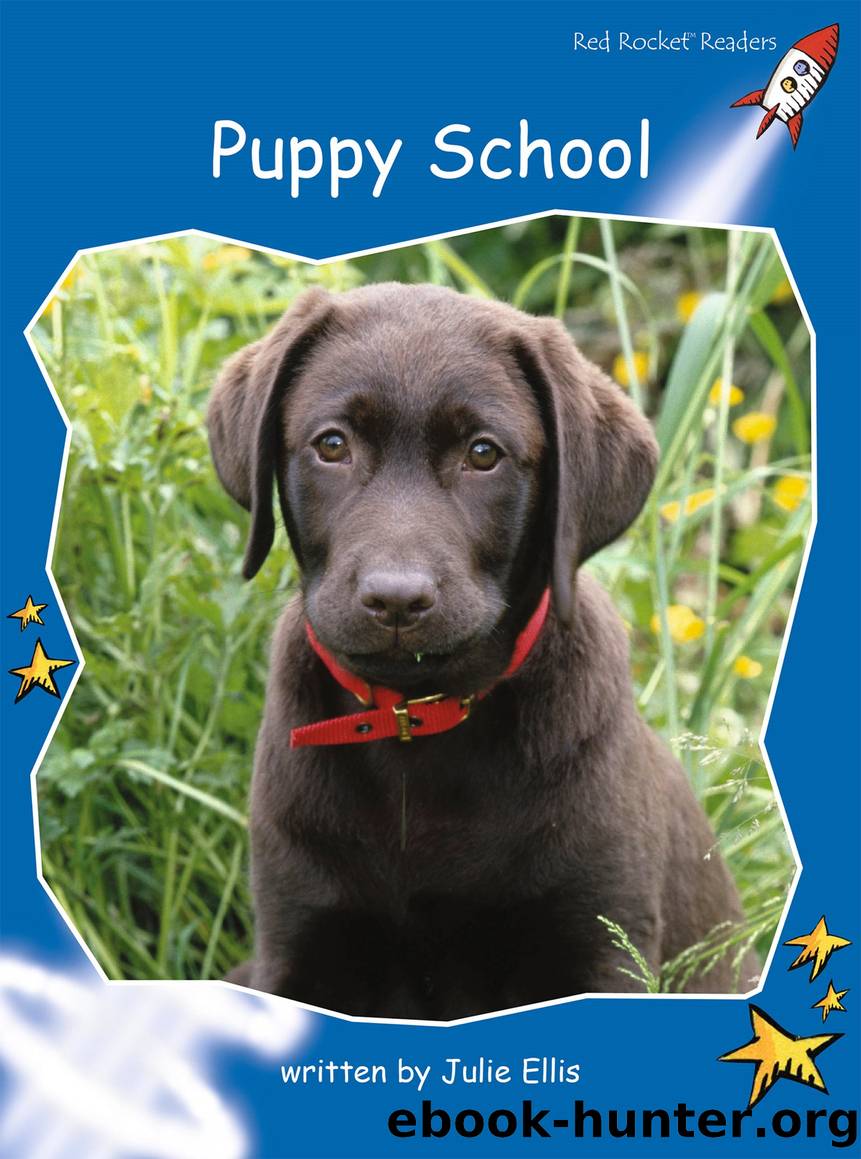 Puppy School by Julie Ellis