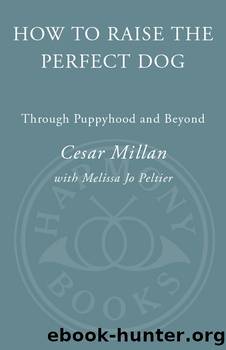 Puppyhood: how to raise the perfect dog by Cesar Millan