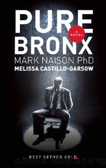 Pure Bronx by Mark Naison