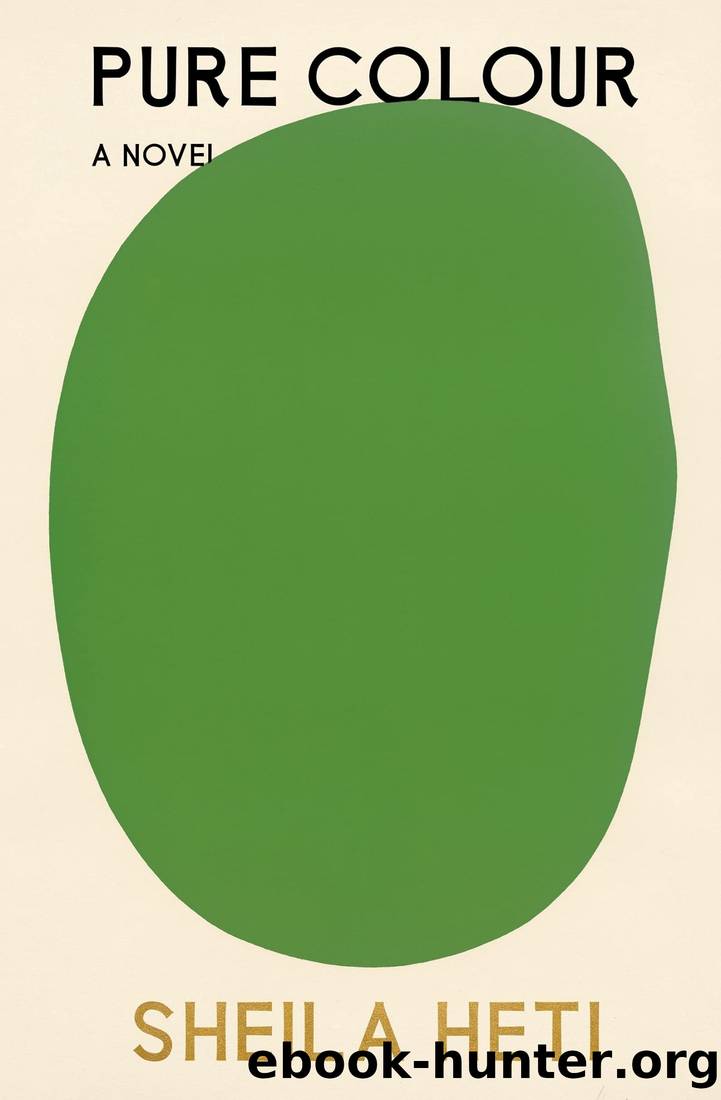 Pure Colour: A Novel by Sheila Heti