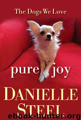 Pure Joy by Danielle Steel
