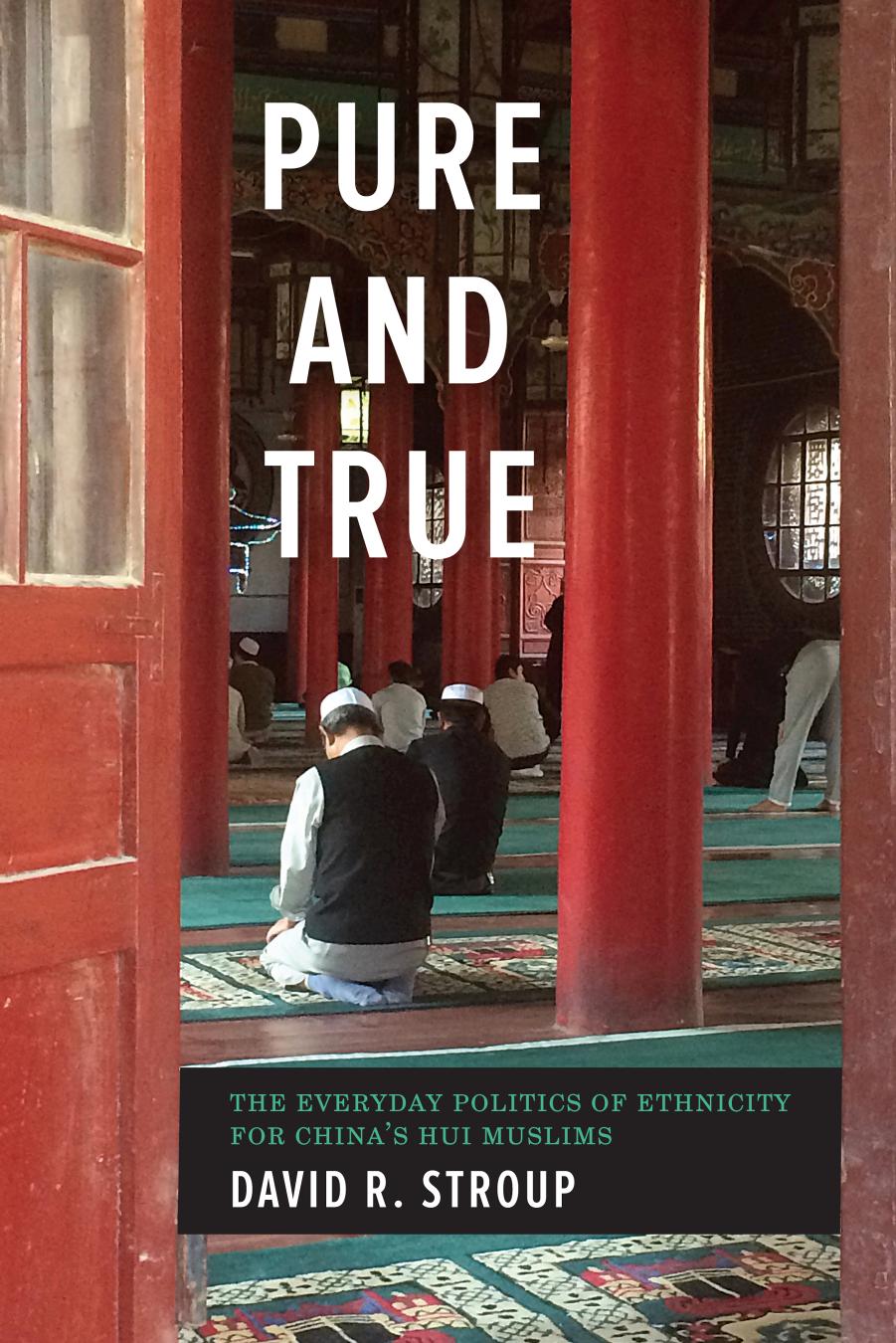 Pure and True: The Everyday Politics of Ethnicity for China's Hui Muslims by David R. Stroup