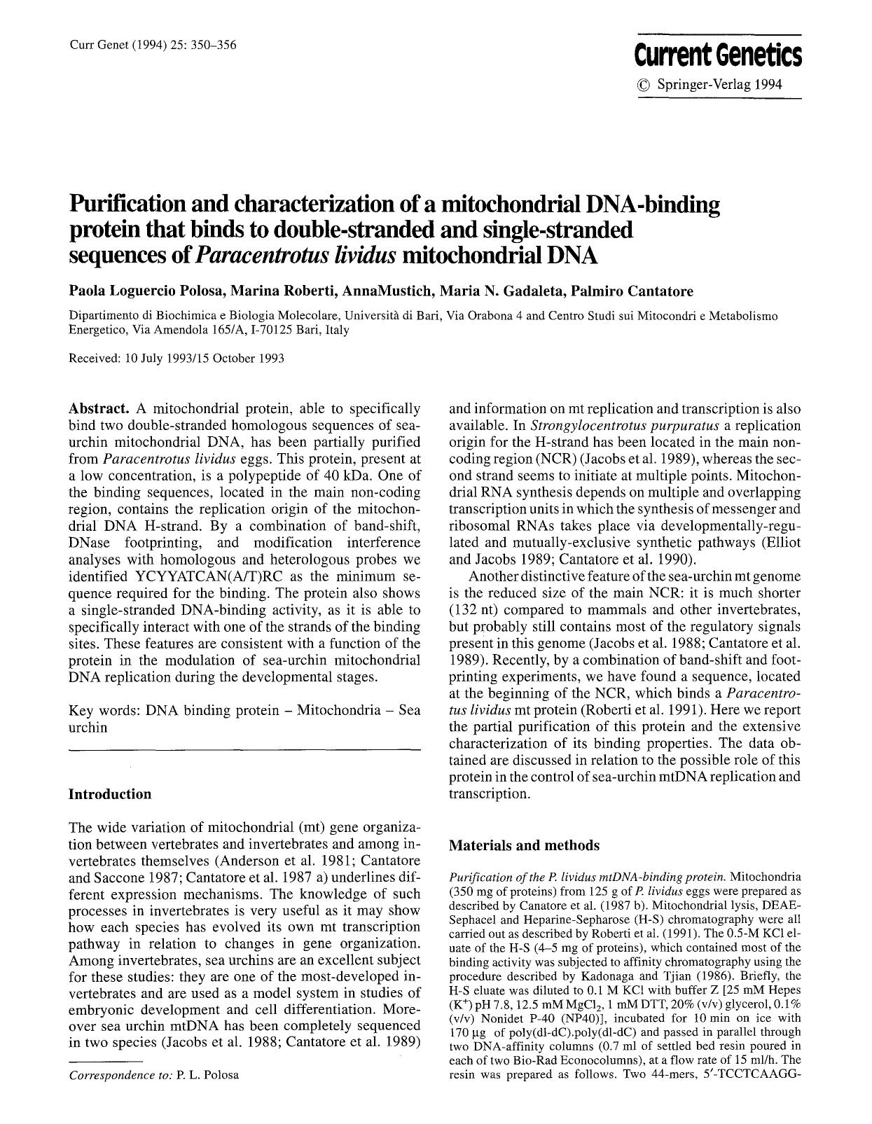 Purification and characterization of a mitochondrial DNA-binding protein that binds to double-stranded and single-stranded sequences of <Emphasis Type="Italic">Paracentrotus lividu by Unknown
