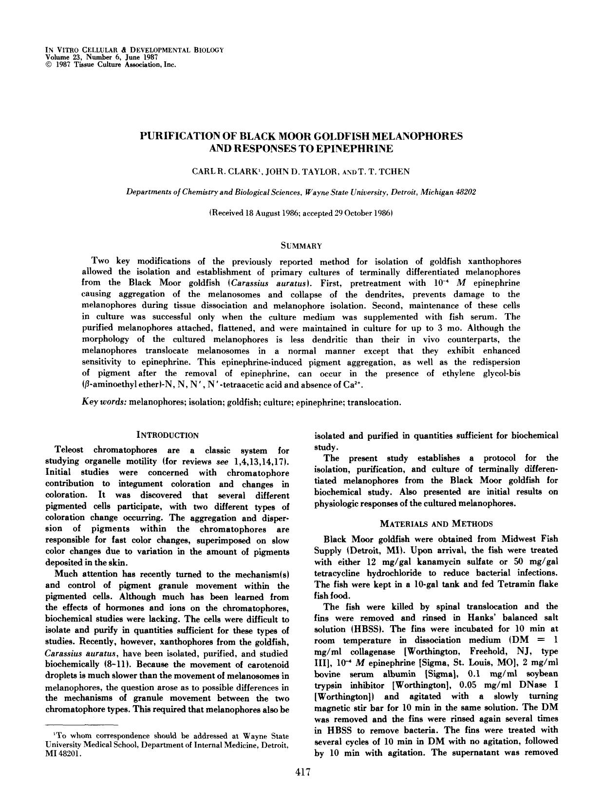 Purification of Black Moor Goldfish melanophores and responses to epinephrine by Unknown