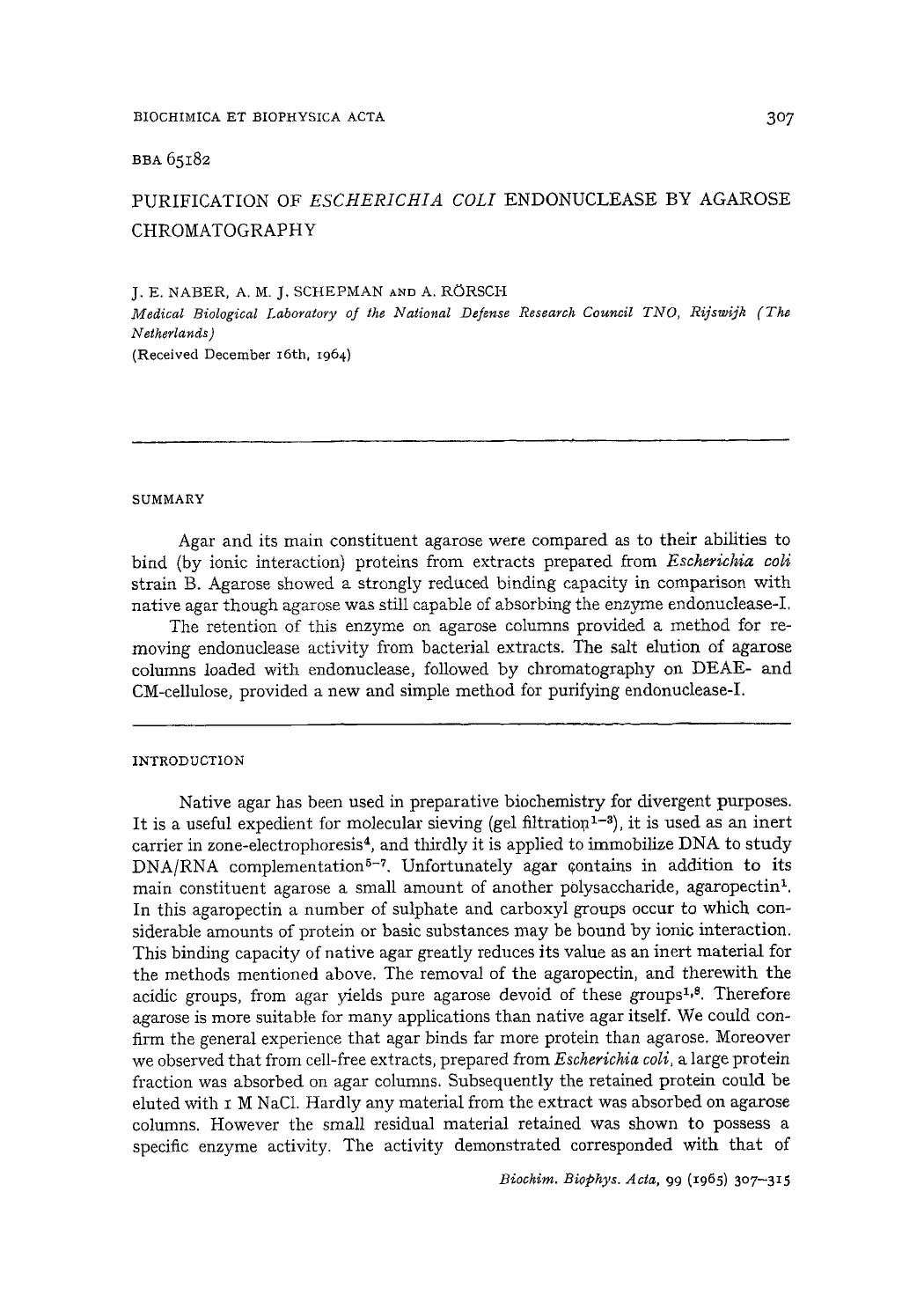 Purification of Escherichia coli endonuclease by agarose chromatography by J.E. Naber; A.M.J. Schepman; A. Rösch