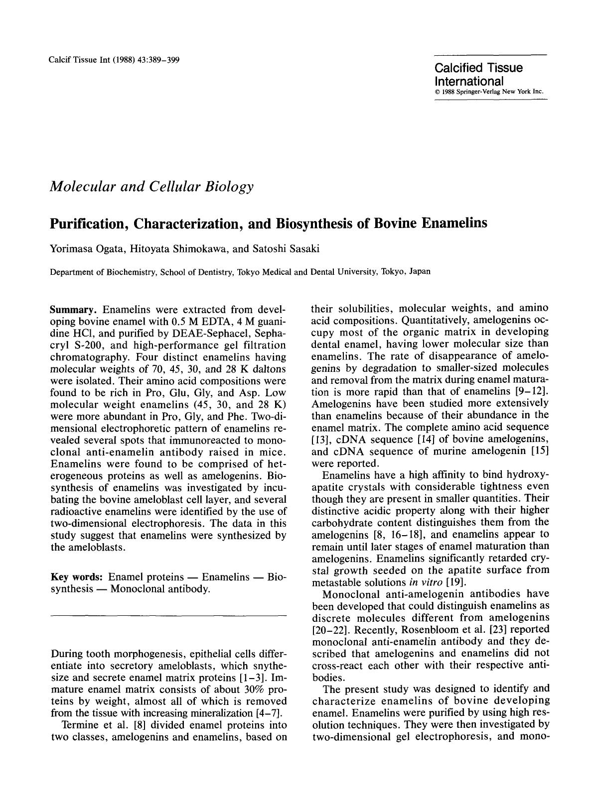 Purification, characterization, and biosynthesis of bovine enamelins by Unknown