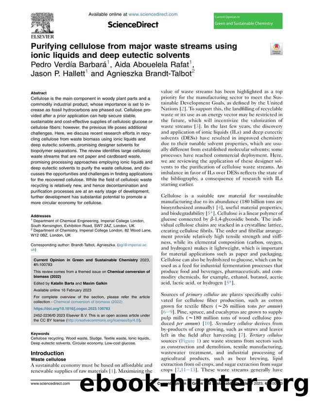 Purifying cellulose from major waste streams using ionic liquids and deep eutectic solvents by Pedro Verdía Barbará & Aida Abouelela Rafat & Jason P. Hallett & Agnieszka Brandt-Talbot