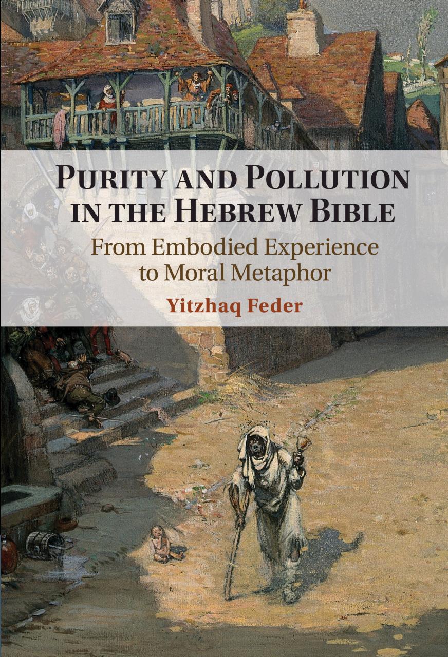 Purity and Pollution in the Hebrew Bible: From Embodied Experience to Moral Metaphor by Yitzhaq Feder