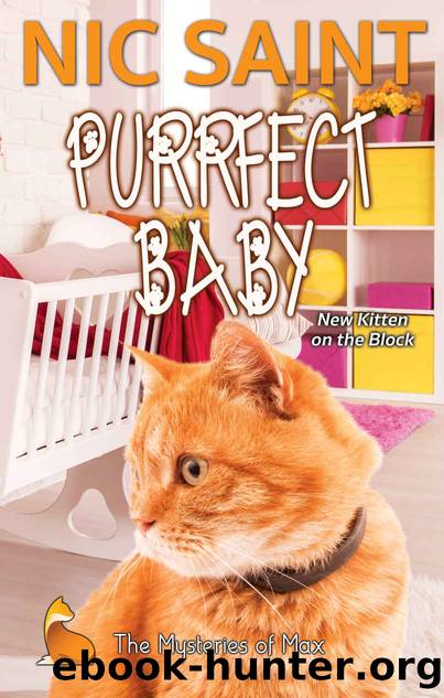 Purrfect Baby (The Mysteries of Max Book 49) by Nic Saint