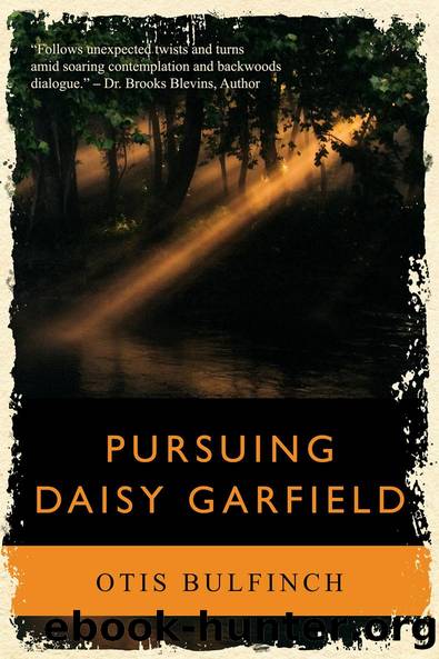 Pursuing Daisy Garfield by Otis Bulfinch