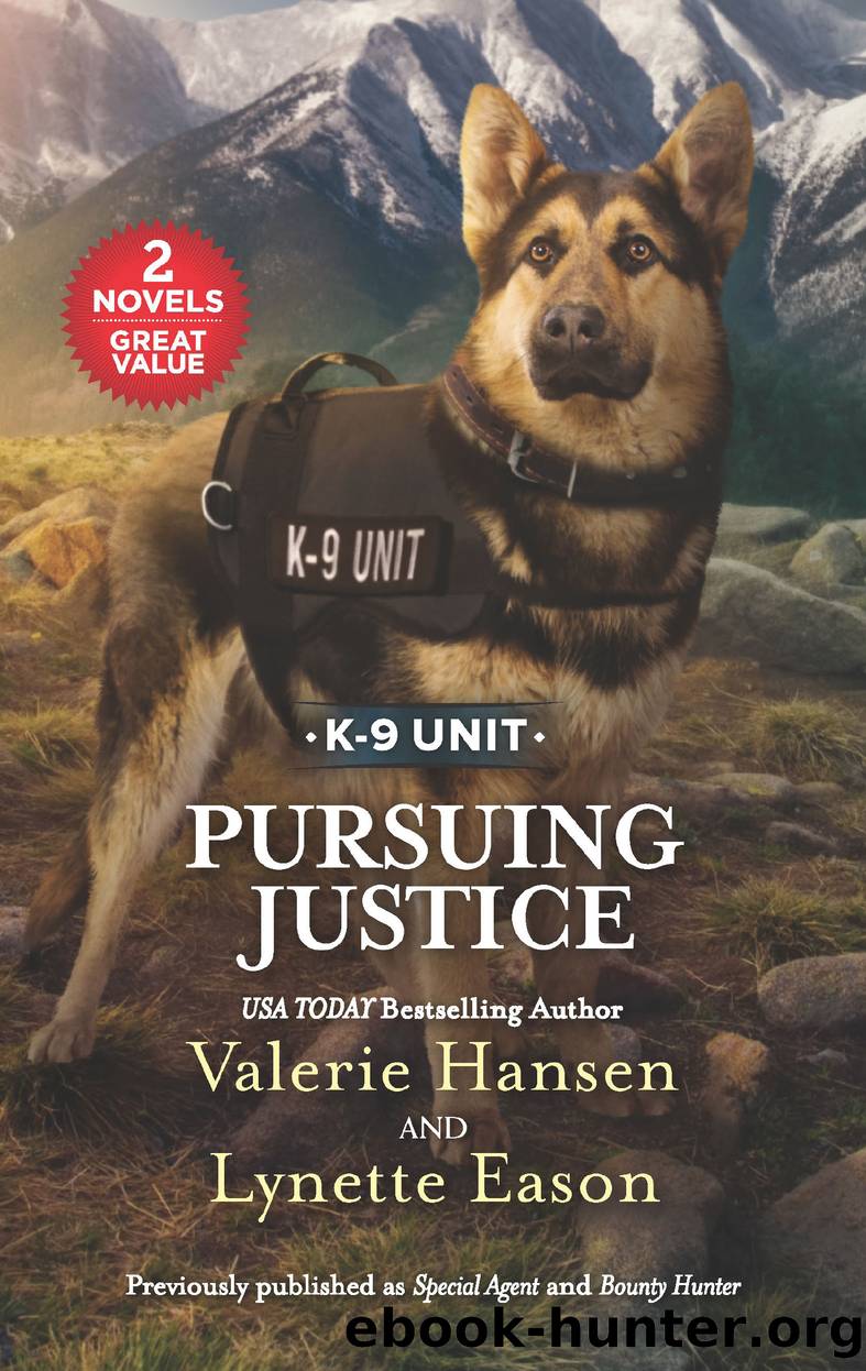 Pursuing Justice by Valerie Hansen