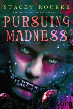 Pursuing Madness by Stacey Rourke