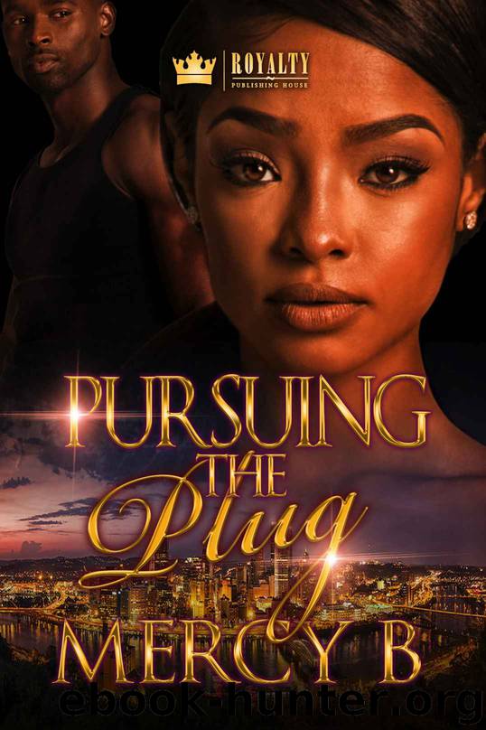 Pursuing The Plug by Mercy B