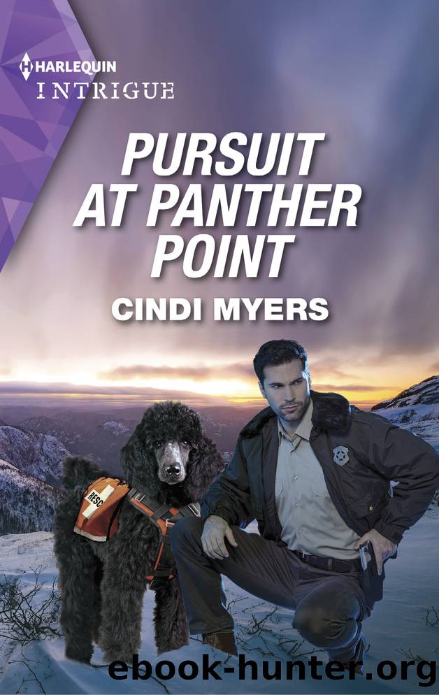 Pursuit at Panther Point by Cindi Myers