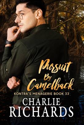 Pursuit by Camelback by Charlie Richards